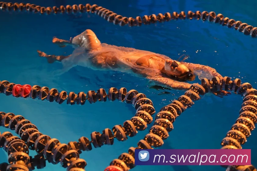 pa真人视讯发展历程